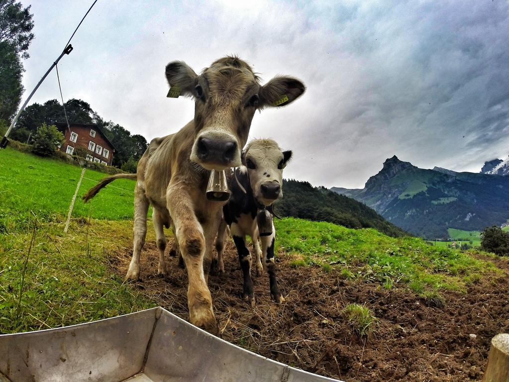 Hotel Engelberg "Mein Trail Hotel" Zewnętrze zdjęcie